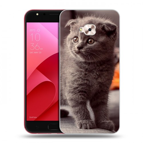 Дизайнерский пластиковый чехол для ASUS ZenFone 4 Selfie Pro Котята