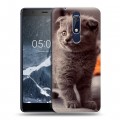 Дизайнерский пластиковый чехол для Nokia 5.1 Котята