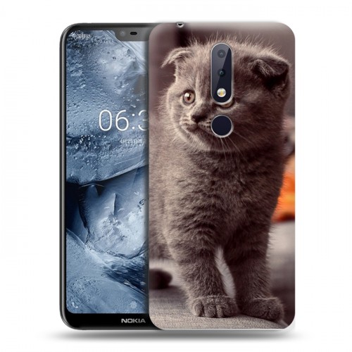 Дизайнерский пластиковый чехол для Nokia 6.1 Plus Котята