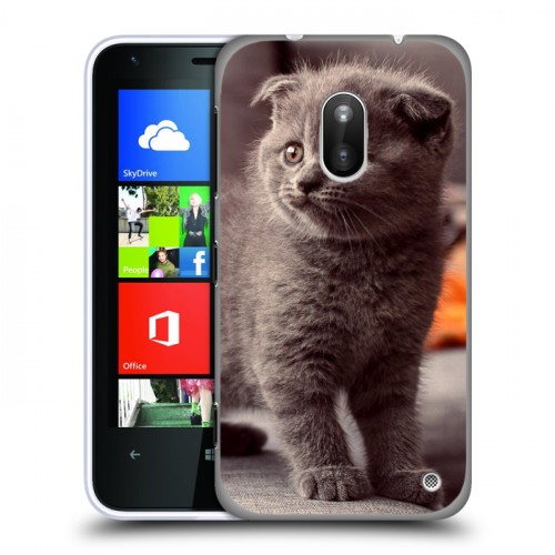 Дизайнерский пластиковый чехол для Nokia Lumia 620 Котята