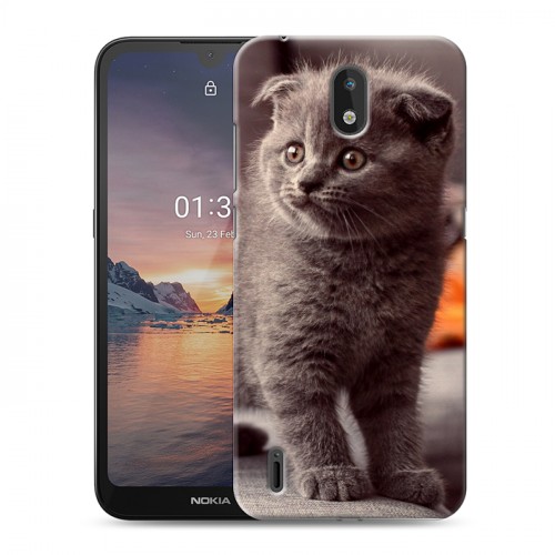 Дизайнерский силиконовый чехол для Nokia 1.3 Котята