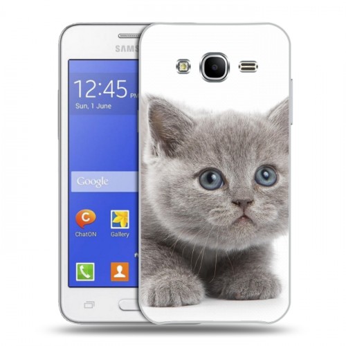 Дизайнерский силиконовый чехол для Samsung Galaxy J7 Котята