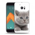 Дизайнерский пластиковый чехол для HTC 10 Котята