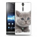 Дизайнерский пластиковый чехол для Sony Xperia S Котята