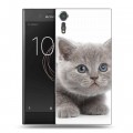 Дизайнерский пластиковый чехол для Sony Xperia XZs Котята