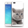 Дизайнерский силиконовый чехол для OPPO F3 Котята