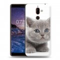 Дизайнерский пластиковый чехол для Nokia 7 Plus Котята