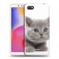 Дизайнерский пластиковый чехол для Xiaomi RedMi 6A Котята