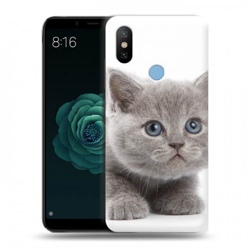 Дизайнерский силиконовый чехол для Xiaomi Mi A2 Котята