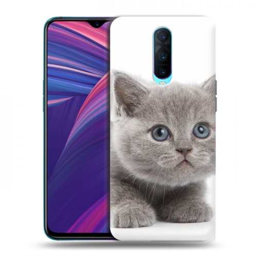 Дизайнерский пластиковый чехол для OPPO RX17 Pro Котята