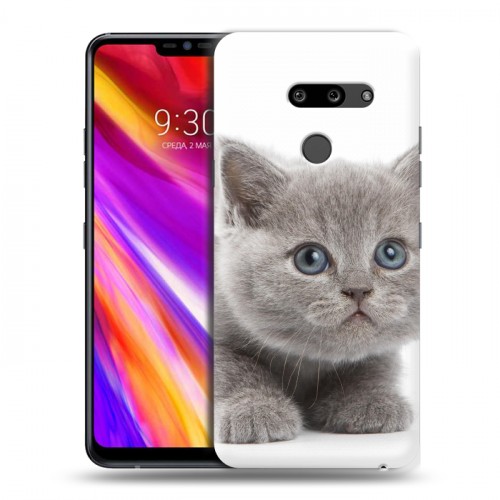 Дизайнерский пластиковый чехол для LG G8 ThinQ Котята