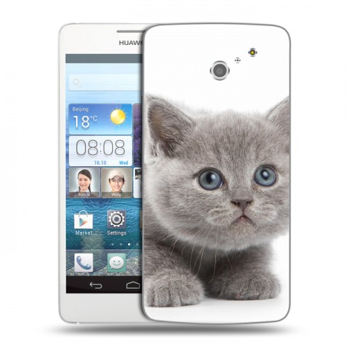 Дизайнерский пластиковый чехол для Huawei Ascend D2 Котята