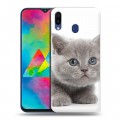 Дизайнерский пластиковый чехол для Samsung Galaxy M20 Котята