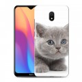 Дизайнерский силиконовый с усиленными углами чехол для Xiaomi RedMi 8A Котята