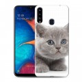 Дизайнерский пластиковый чехол для Samsung Galaxy A20s Котята