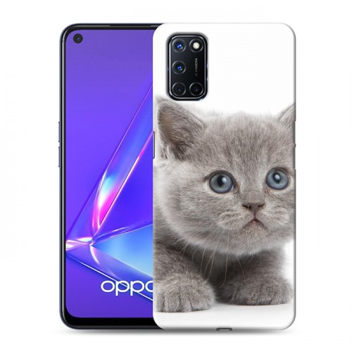 Дизайнерский пластиковый чехол для OPPO A52 Котята