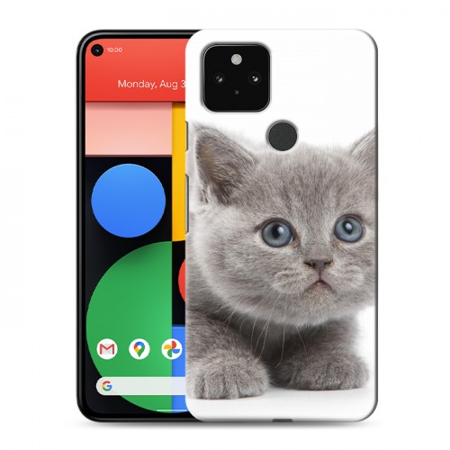 Дизайнерский пластиковый чехол для Google Pixel 5 Котята