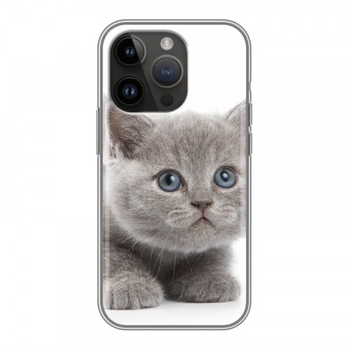 Дизайнерский силиконовый чехол для Iphone 14 Pro Котята