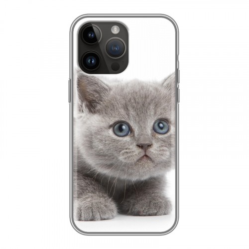 Дизайнерский пластиковый чехол для Iphone 14 Pro Max Котята