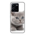 Дизайнерский силиконовый чехол для Vivo Y35 Котята