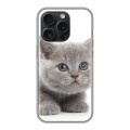 Дизайнерский силиконовый чехол для Iphone 15 Pro Котята