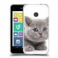 Дизайнерский пластиковый чехол для Nokia Lumia 530 Котята