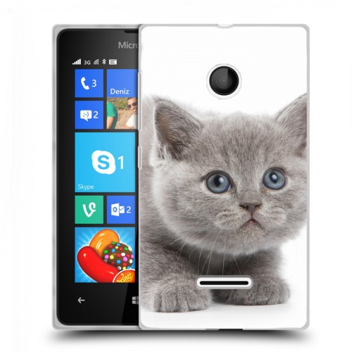 Дизайнерский пластиковый чехол для Microsoft Lumia 435 Котята