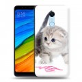 Дизайнерский пластиковый чехол для Xiaomi RedMi 5 Plus Котята