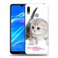 Дизайнерский пластиковый чехол для Huawei Y6 (2019) Котята