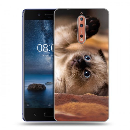 Дизайнерский пластиковый чехол для Nokia 8 Котята