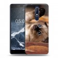 Дизайнерский пластиковый чехол для Nokia 5.1 Котята