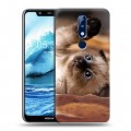 Дизайнерский силиконовый чехол для Nokia 5.1 Plus Котята