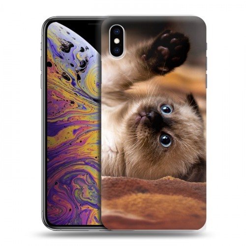 Дизайнерский силиконовый чехол для Iphone Xs Max Котята