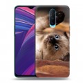 Дизайнерский пластиковый чехол для OPPO RX17 Pro Котята