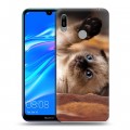 Дизайнерский пластиковый чехол для Huawei Y6 (2019) Котята