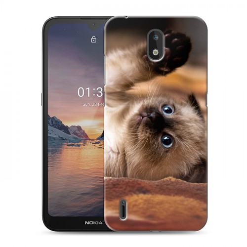 Дизайнерский силиконовый чехол для Nokia 1.3 Котята