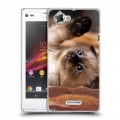 Дизайнерский пластиковый чехол для Sony Xperia L Котята