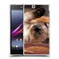 Дизайнерский пластиковый чехол для Sony Xperia Z Ultra  Котята