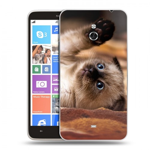 Дизайнерский пластиковый чехол для Nokia Lumia 1320 Котята