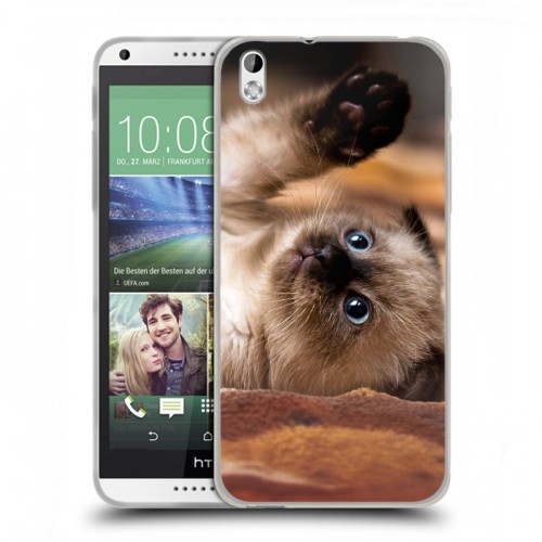 Дизайнерский пластиковый чехол для HTC Desire 816 Котята