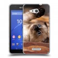 Дизайнерский пластиковый чехол для Sony Xperia E4g Котята