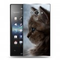 Дизайнерский пластиковый чехол для Sony Xperia acro S Котята