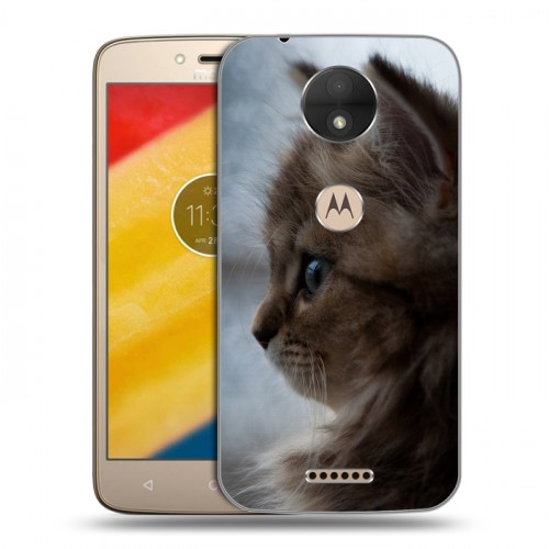 Дизайнерский пластиковый чехол для Motorola Moto C Котята