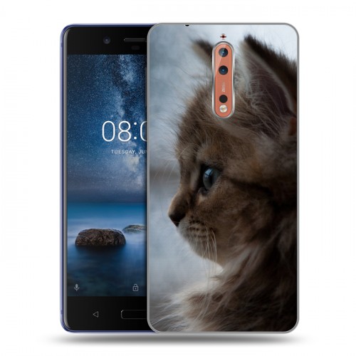 Дизайнерский пластиковый чехол для Nokia 8 Котята