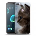 Дизайнерский силиконовый чехол для HTC Desire 12 Plus Котята