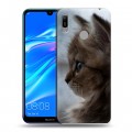 Дизайнерский пластиковый чехол для Huawei Y6 (2019) Котята