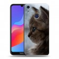 Дизайнерский пластиковый чехол для Huawei Honor 8A Котята