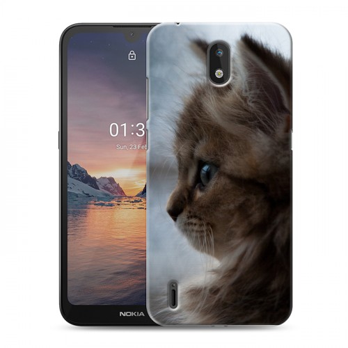 Дизайнерский силиконовый чехол для Nokia 1.3 Котята