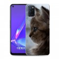 Дизайнерский пластиковый чехол для OPPO A52 Котята