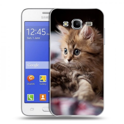 Дизайнерский пластиковый чехол для Samsung Galaxy J7 Котята